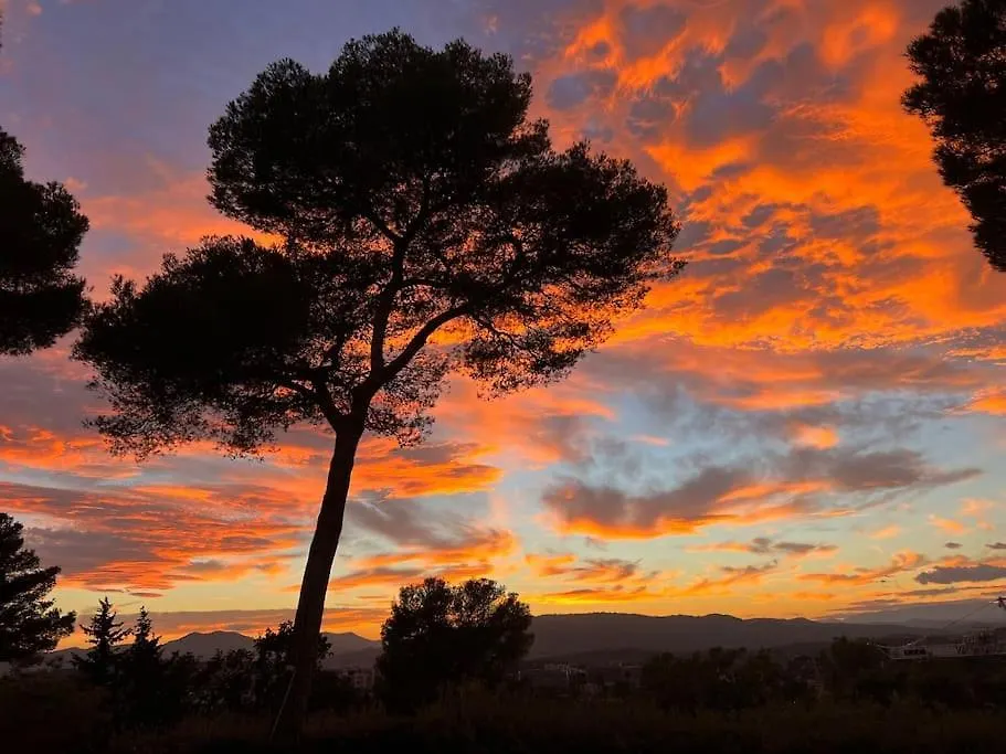 Villa Lion, Gorgeous Villa In Le Cannet Overlooking Cannes フランス
